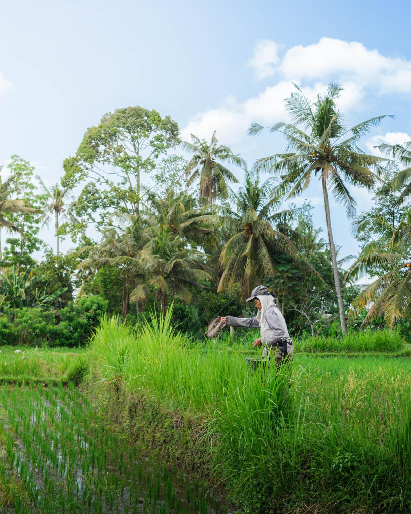 Tannari Villa Ubud Kültér fotó