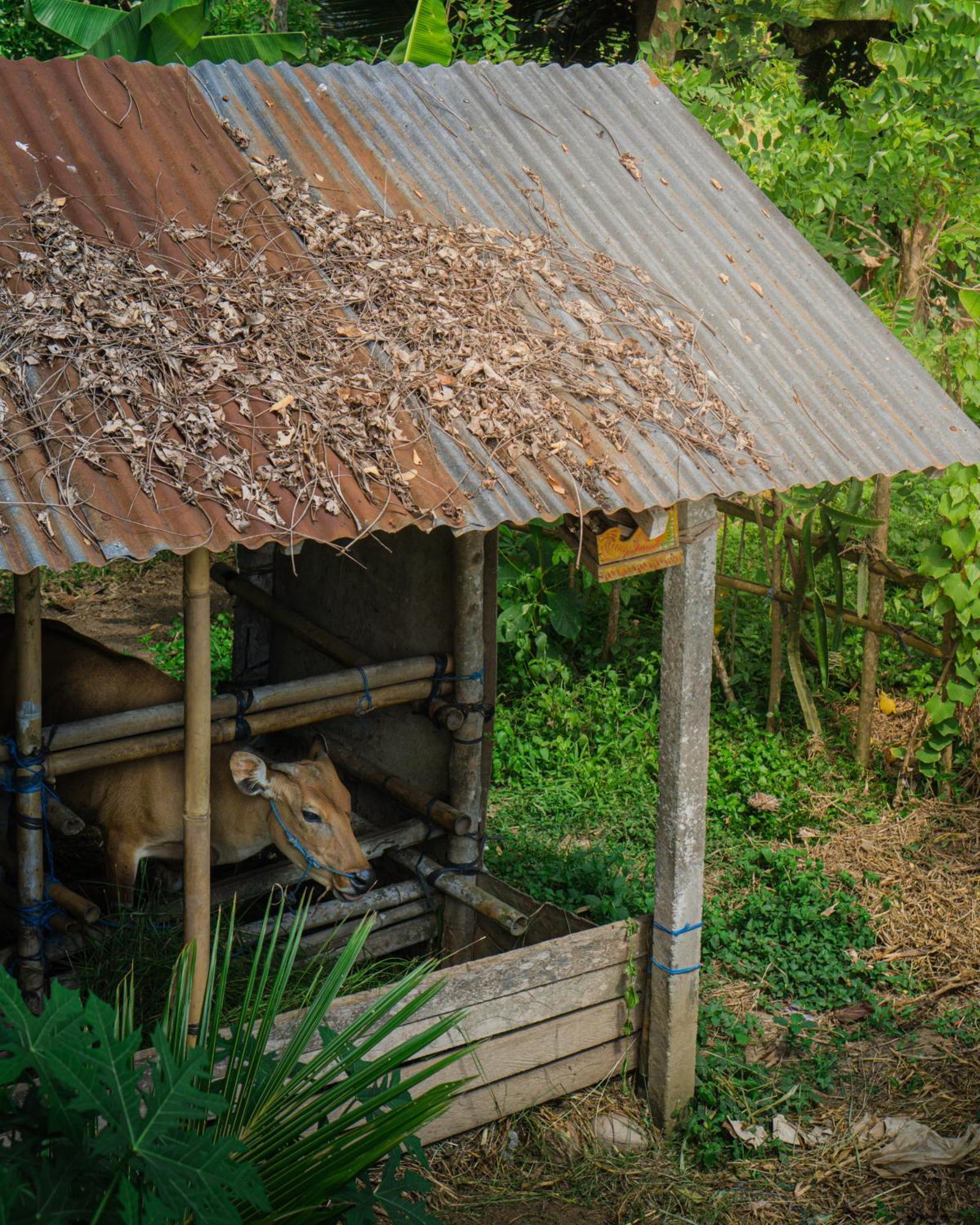 Tannari Villa Ubud Kültér fotó